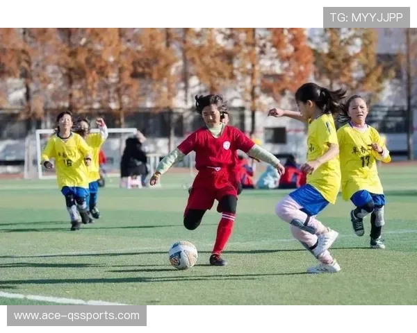 阜阳足球球星崛起助力地方足球发展 展现拼搏精神与未来潜力